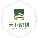 美女被叉叉网站